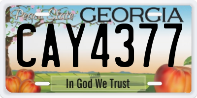 GA license plate CAY4377