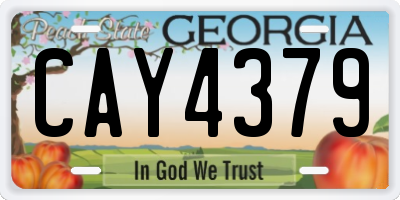 GA license plate CAY4379