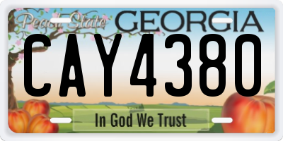 GA license plate CAY4380