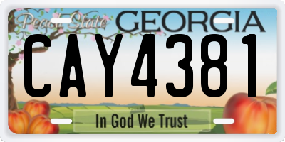 GA license plate CAY4381