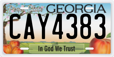 GA license plate CAY4383
