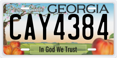 GA license plate CAY4384