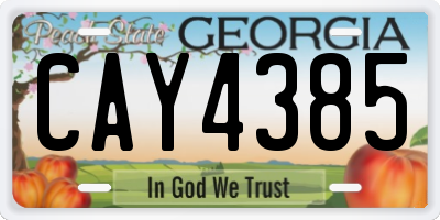 GA license plate CAY4385