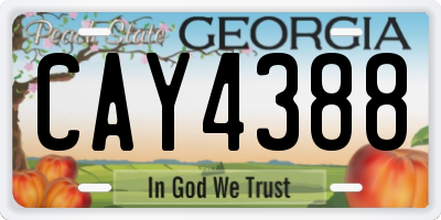 GA license plate CAY4388