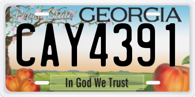 GA license plate CAY4391