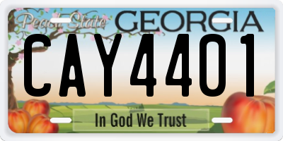 GA license plate CAY4401