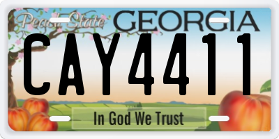 GA license plate CAY4411
