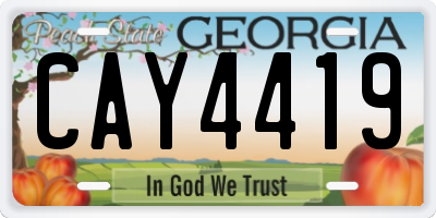GA license plate CAY4419