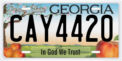 GA license plate CAY4420
