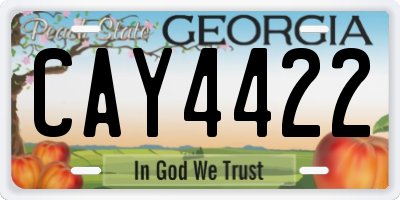 GA license plate CAY4422