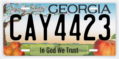 GA license plate CAY4423