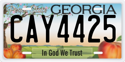 GA license plate CAY4425