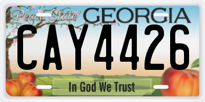 GA license plate CAY4426