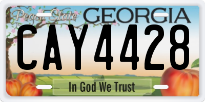 GA license plate CAY4428