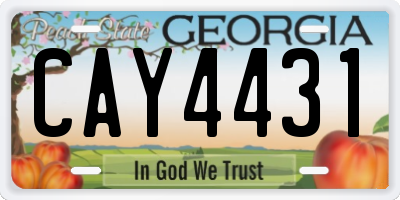 GA license plate CAY4431