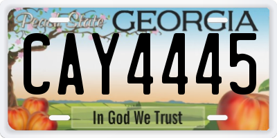 GA license plate CAY4445