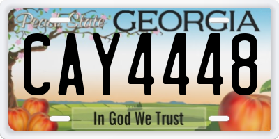 GA license plate CAY4448