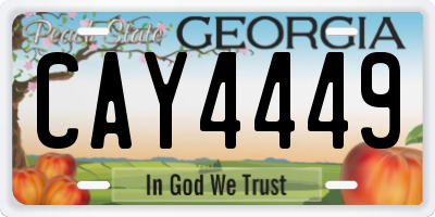 GA license plate CAY4449