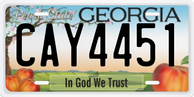 GA license plate CAY4451