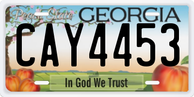 GA license plate CAY4453