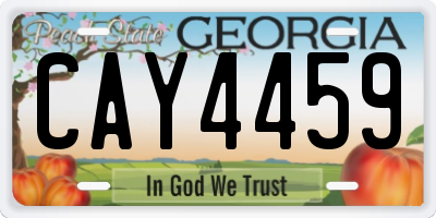 GA license plate CAY4459