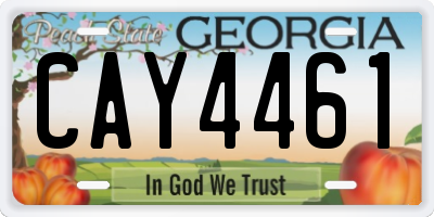 GA license plate CAY4461