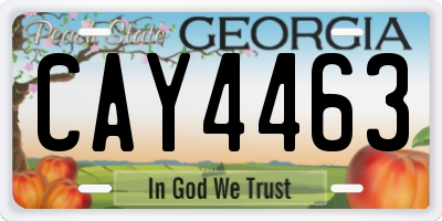 GA license plate CAY4463