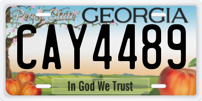 GA license plate CAY4489