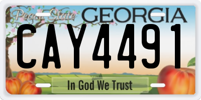 GA license plate CAY4491