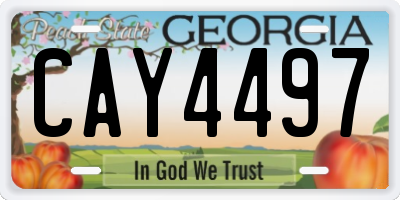 GA license plate CAY4497