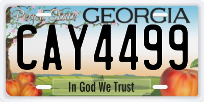 GA license plate CAY4499