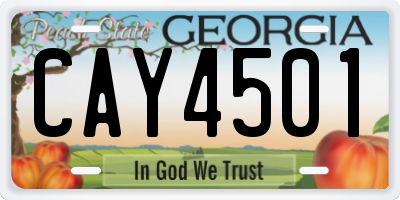 GA license plate CAY4501