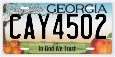 GA license plate CAY4502