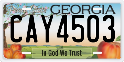 GA license plate CAY4503