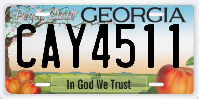 GA license plate CAY4511