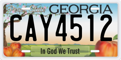 GA license plate CAY4512
