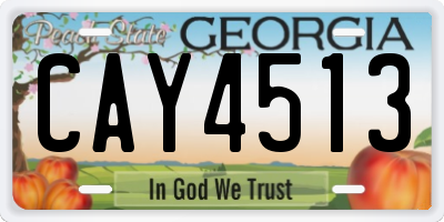 GA license plate CAY4513