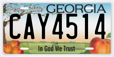 GA license plate CAY4514