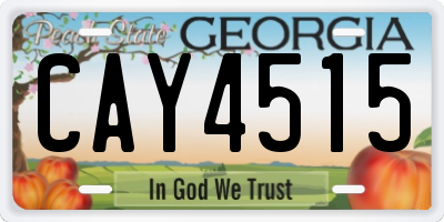 GA license plate CAY4515