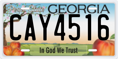 GA license plate CAY4516
