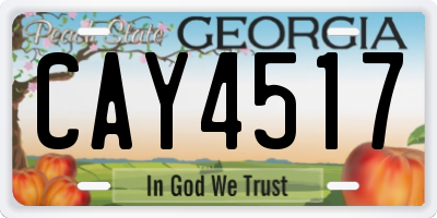 GA license plate CAY4517