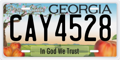 GA license plate CAY4528