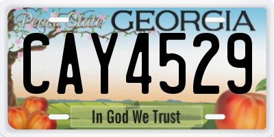 GA license plate CAY4529