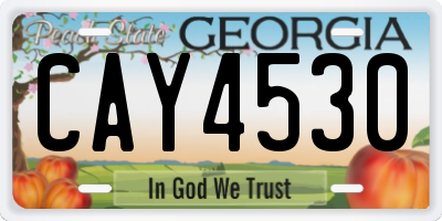 GA license plate CAY4530