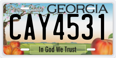 GA license plate CAY4531