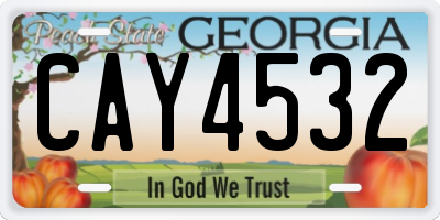 GA license plate CAY4532