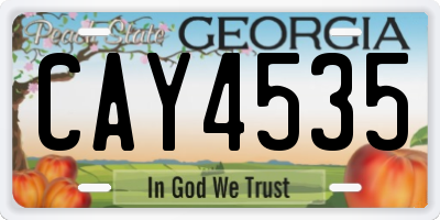 GA license plate CAY4535