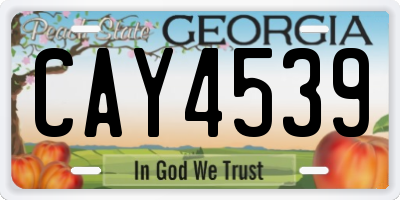 GA license plate CAY4539