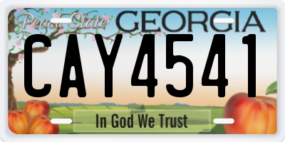 GA license plate CAY4541