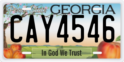 GA license plate CAY4546